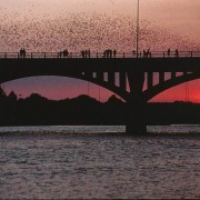 Austin-Bats